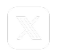 X (Twitter)